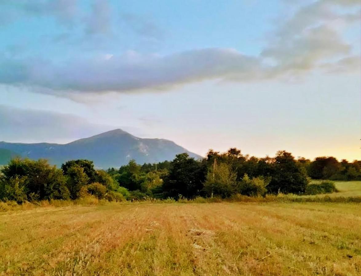 Villa Saturea Boljevac Bagian luar foto