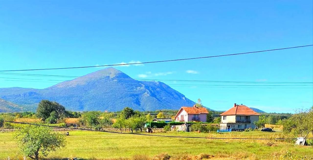 Villa Saturea Boljevac Bagian luar foto