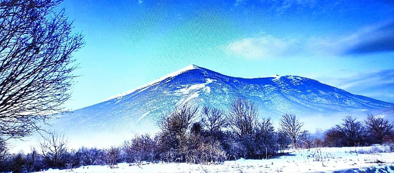 Villa Saturea Boljevac Bagian luar foto