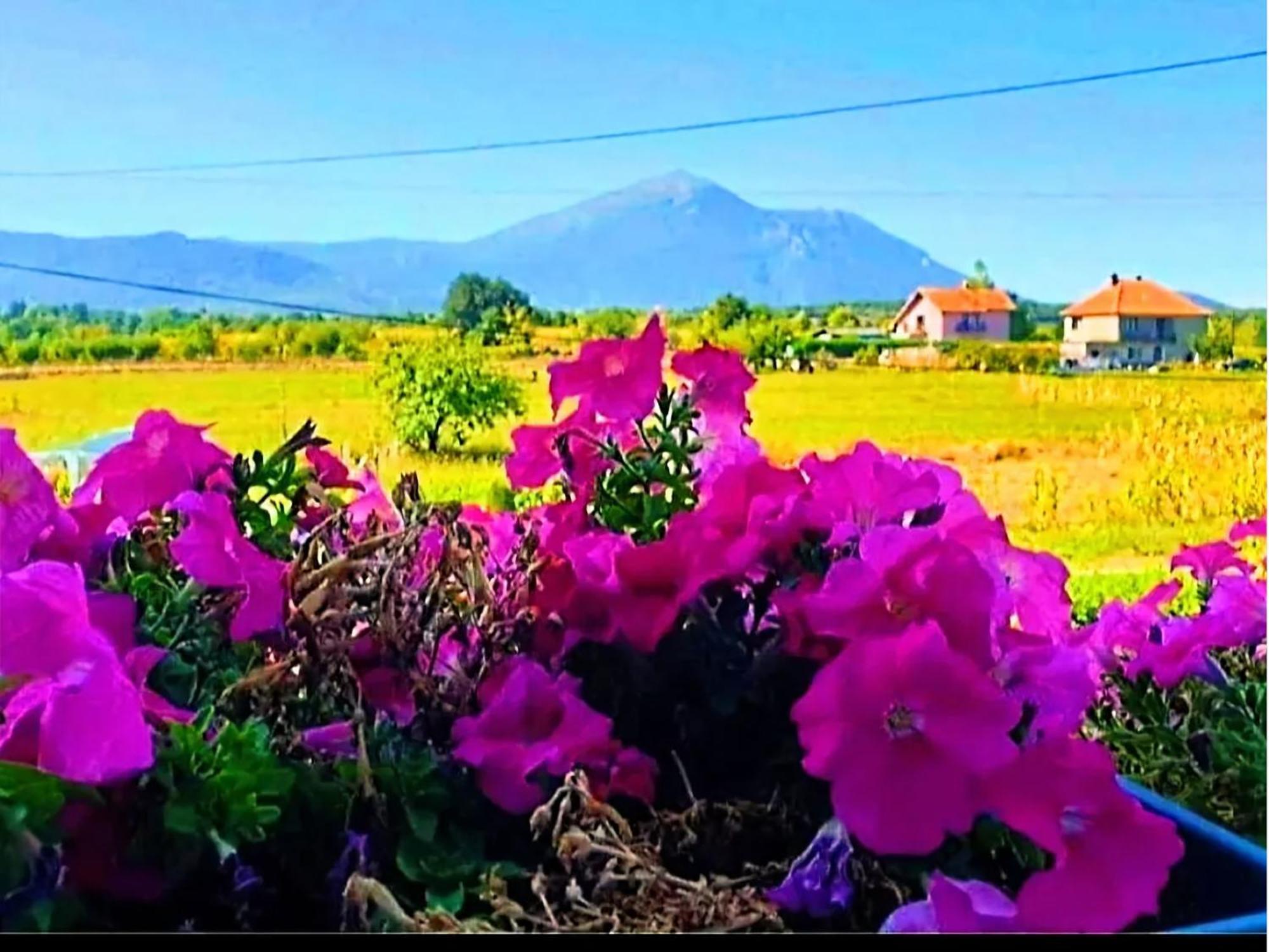 Villa Saturea Boljevac Bagian luar foto